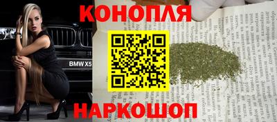 Альфа ПВП Моздок