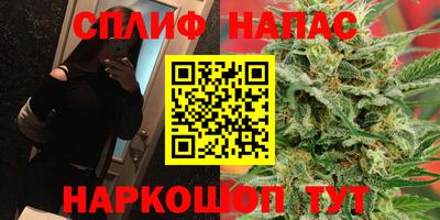 гашик Малгобек
