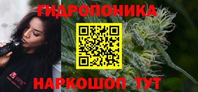 гашик Малгобек