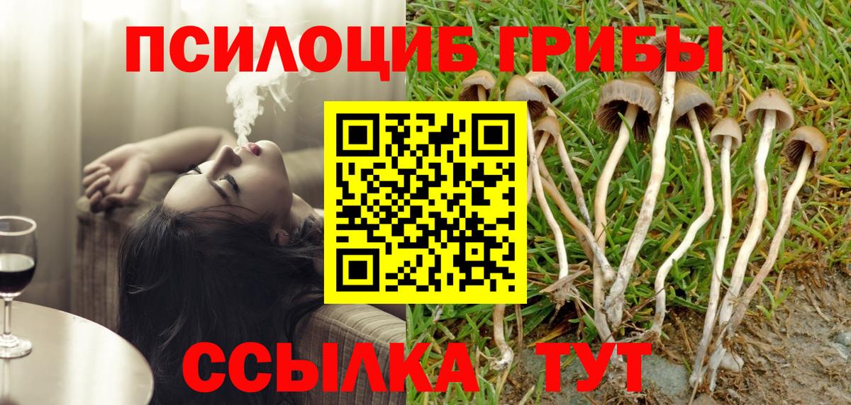 Корсаков  Псилоцибиновые грибы Psilocybine cubensis  наркотики  Псилоцибиновые грибы мухоморы  Вход с VPN 