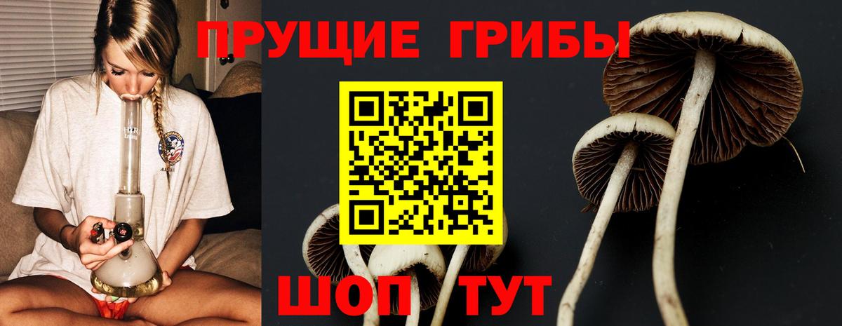 Галлюциногенные грибы мицелий Корсаков